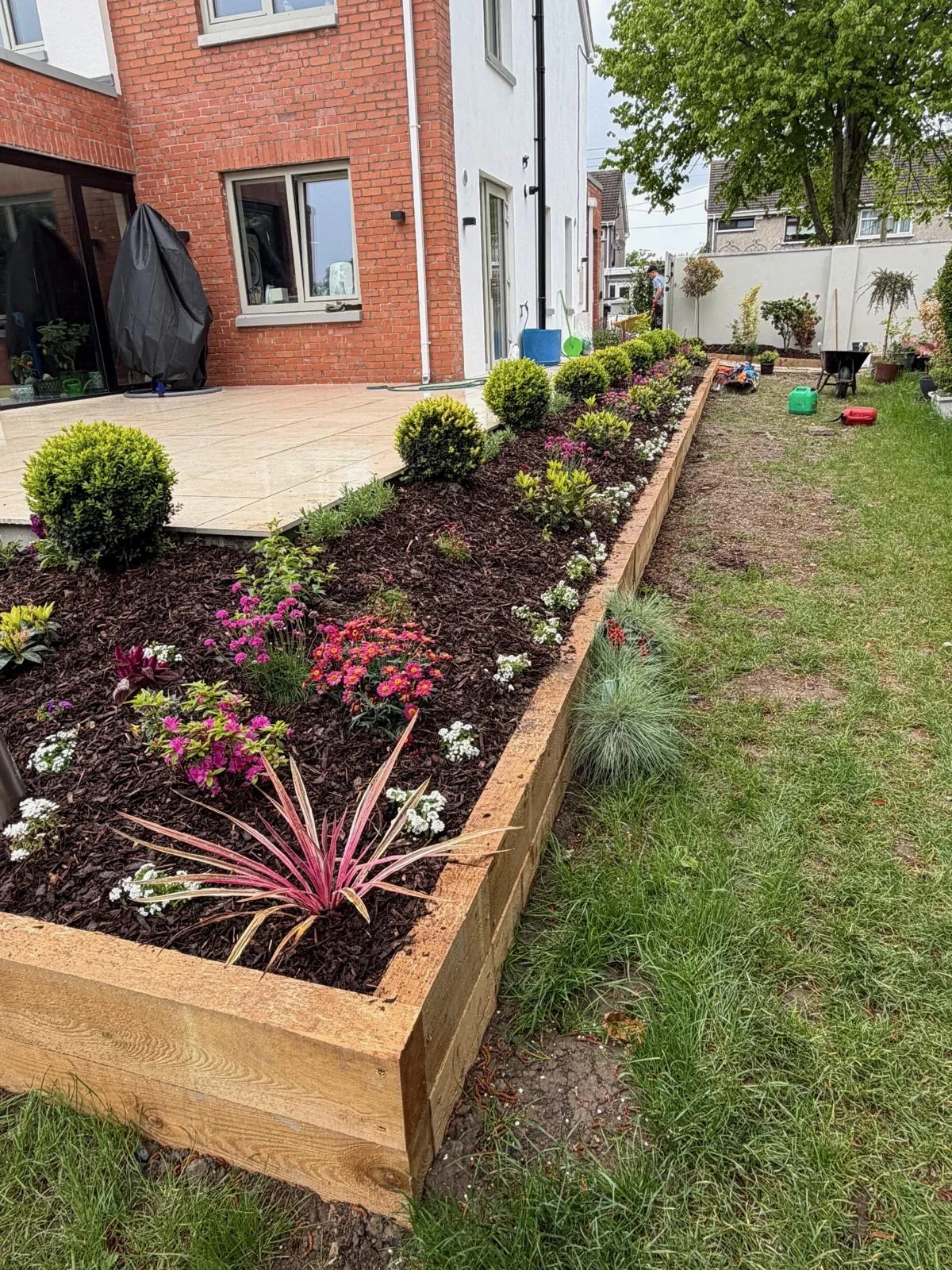 Newly planted raised timber bed alongside a finished porcelain patio